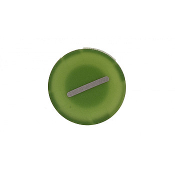 Wkładka przycisku 22mm płaska zielona z symbolem START I M22-XD-G-X1 218165