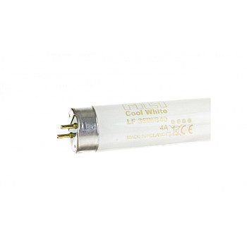 Świetlówka G13 36W 840 4000K LF80 Cool White 1SL/25 8727900961775 /25szt./