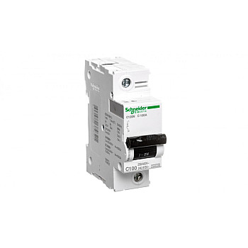 Wyłącznik nadprądowy 1P C 100A 10kA AC C120N A9N18358